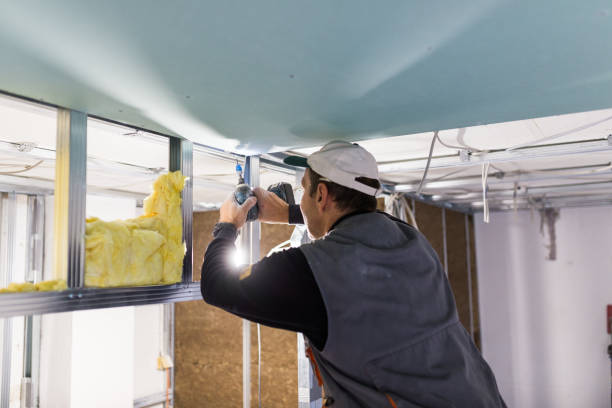 Best Cellulose Insulation in Satellite Beach, FL