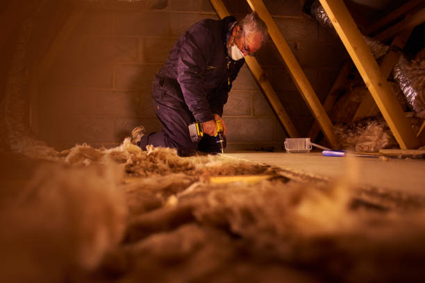 Best Eco-Friendly Insulation in Satellite Beach, FL